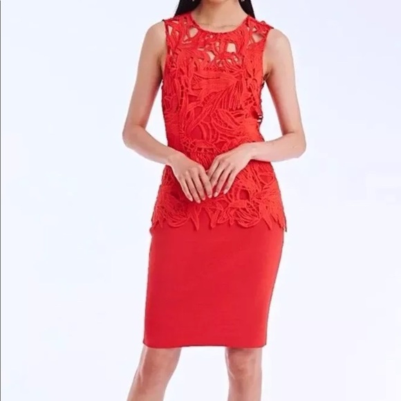 SACHIN & BABI Noir Viola Giupure Lace Peplum Dress - Picture 9 of 17